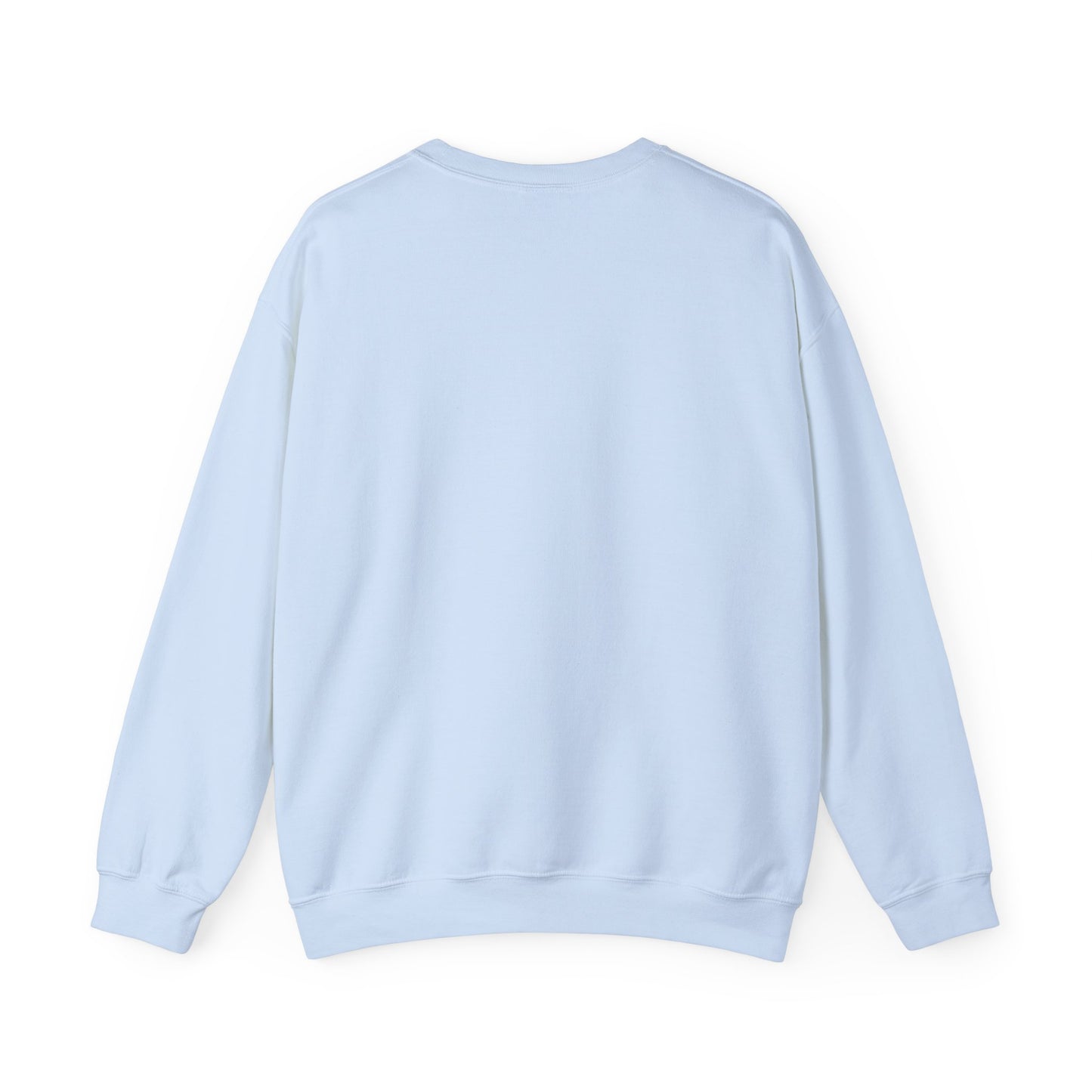 ADPI Penant Hoodie