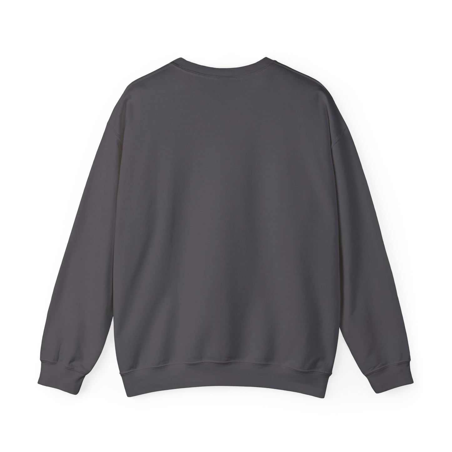 ADPI Penant Hoodie