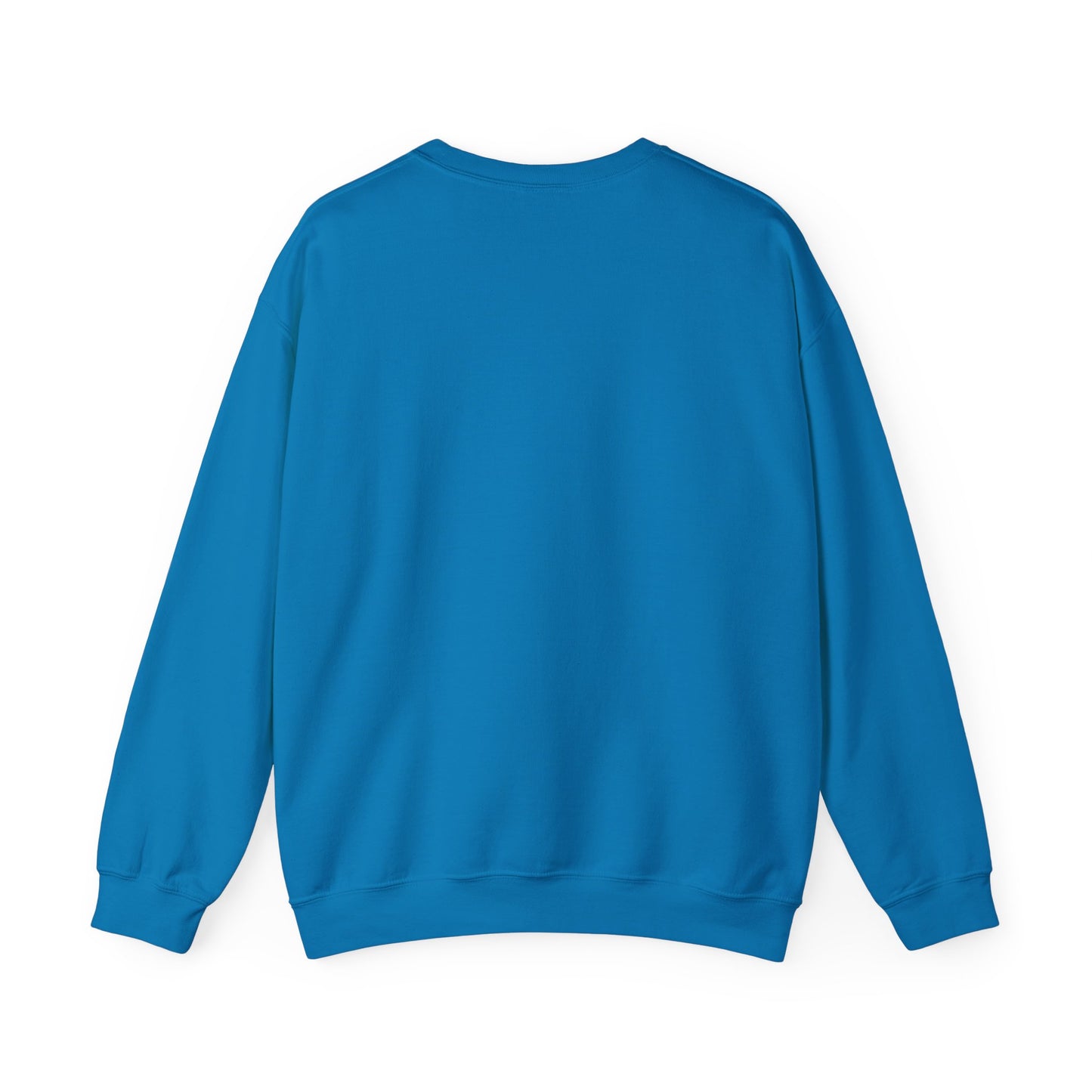 ADPI Penant Hoodie