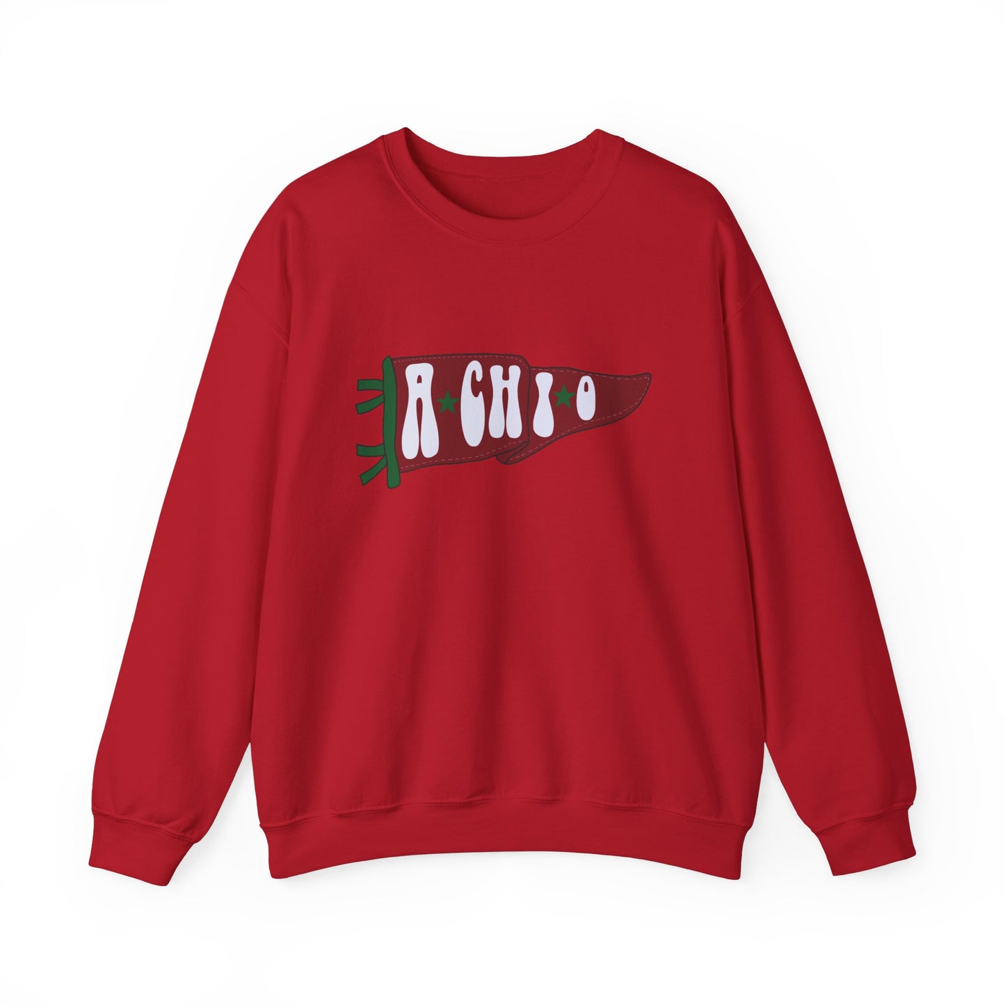 A Chi O Penant Hoodie