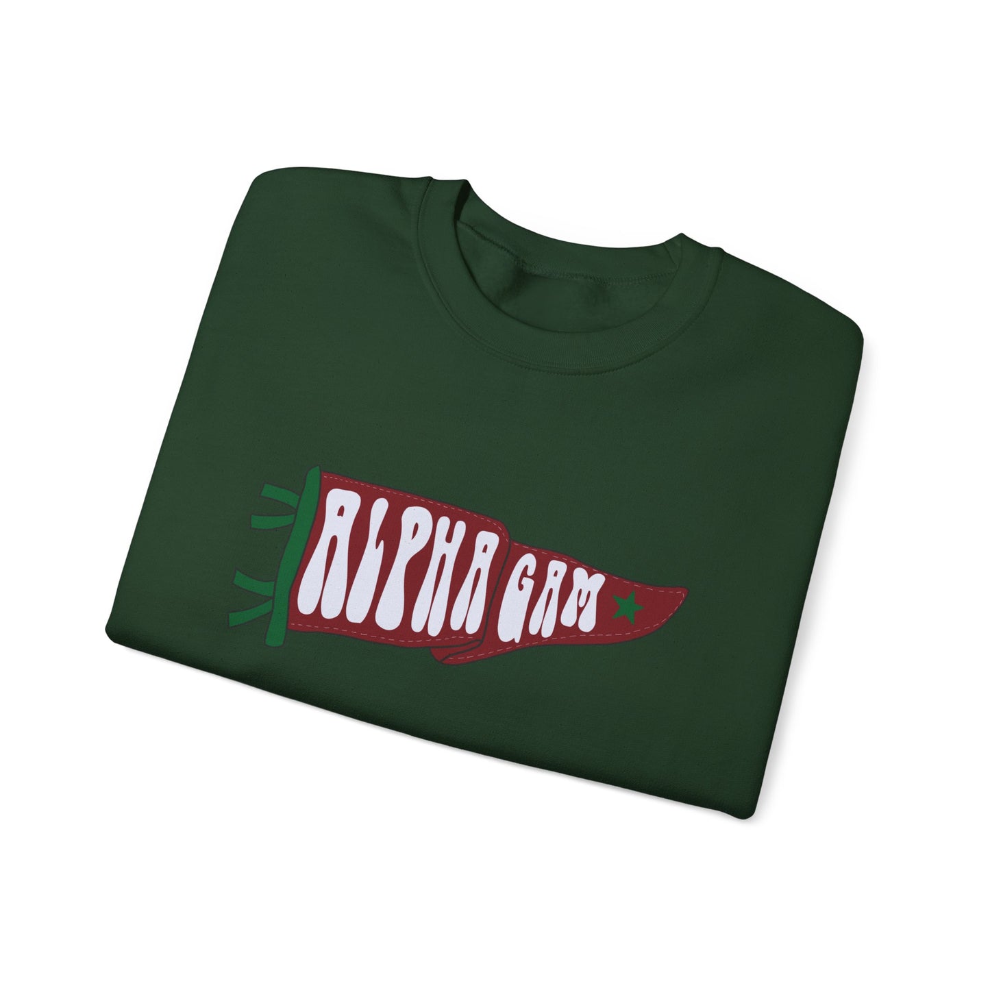 Alpha Gam Penant Hoodie