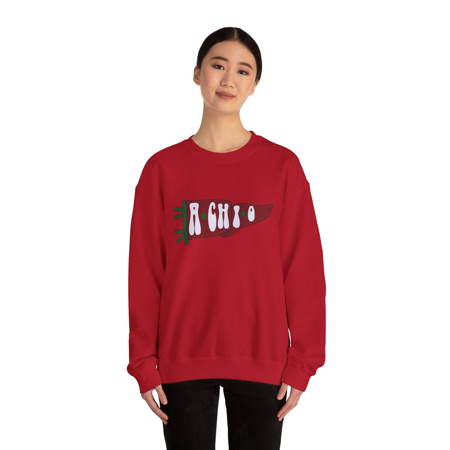 A Chi O Penant Hoodie