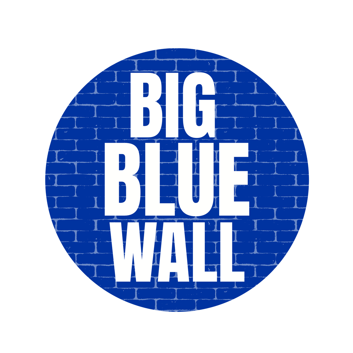 Big Blue Wall Button