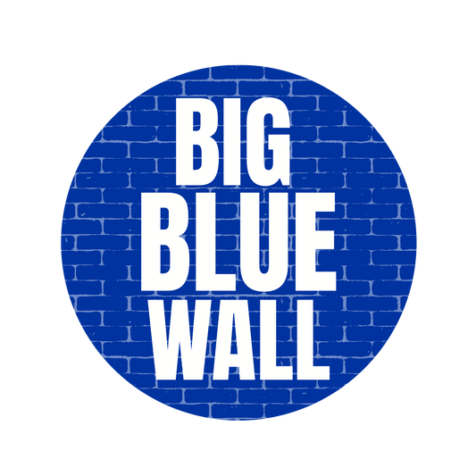 Big Blue Wall Button